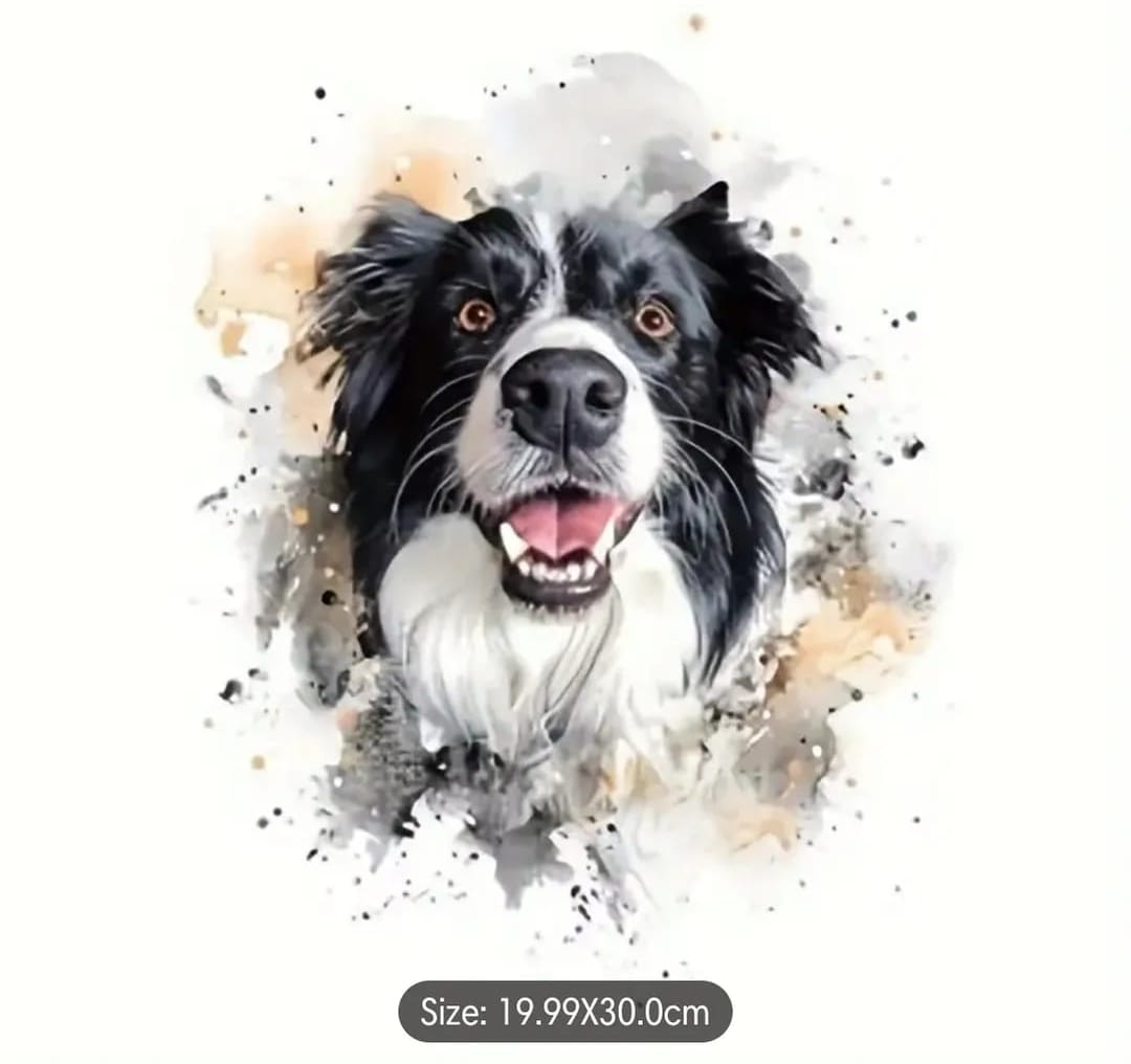 Diamond Art Painting Kit - Border Collie